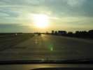 A very buggy sunset  (235KB)